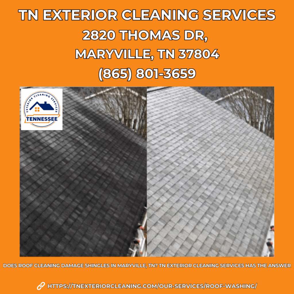 Pressure Washing